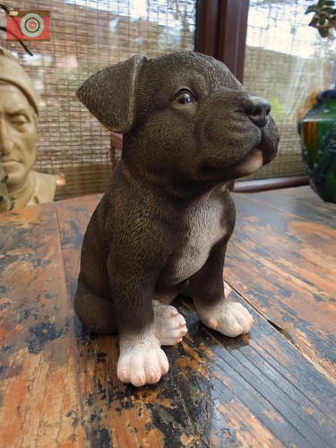 Staffordshire bull terrier - staffordshire,