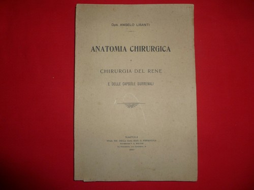 Anatomia chirurgica del rene - chirurgica,