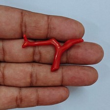 Corallo rosso italiano - , pietra