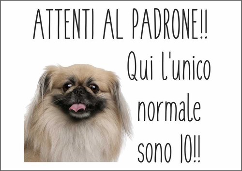 Cartello segnaletico - cartello,