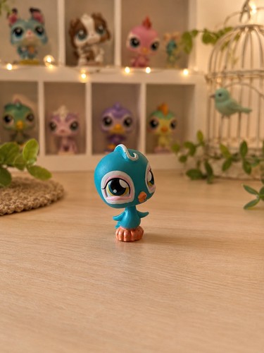Pet shop oiseau 43 - shop, #43
