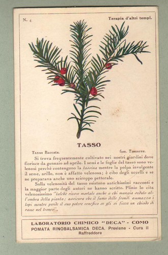 Terapia altri tempi - terapia, n.