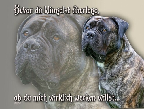 Bullmastiff cartello per - cartello, cani