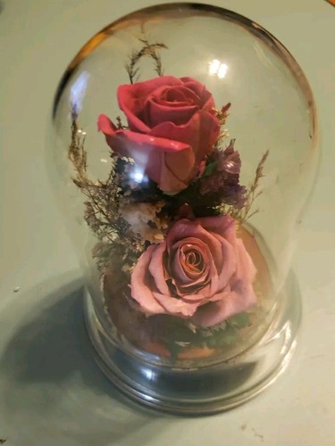 Rose fiori liofilizzati - e,