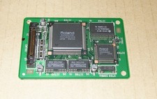 Cinghiale di espansione