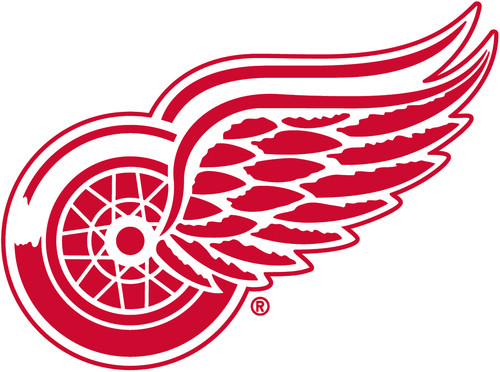 Detroit red wings home - home, made