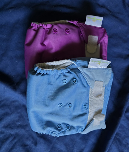 Bumgenius reusable baby cloth - reusable,