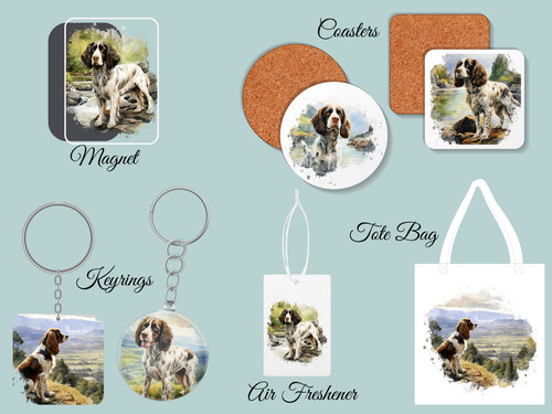 Springer spaniel regali - spaniel,