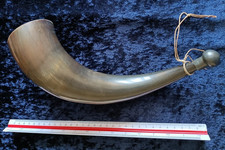 Antico corno di mucca