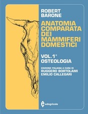 Anatomia comparata dei