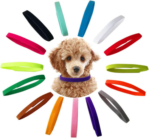 Pezzi collari cucciolo - pezzi,