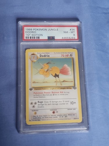 Pokemon jungle 1999 - jungle, 1°