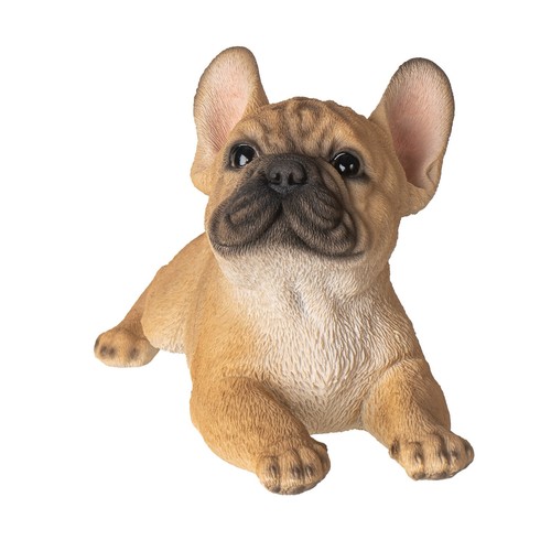 bulldog regalo
