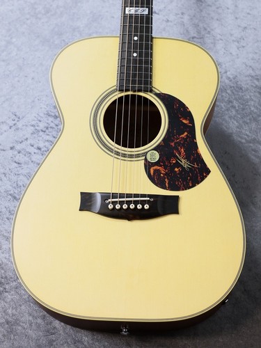 Maton ebg808te 31002 - maton, #31002