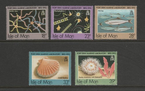 Isola man 1992 - man,