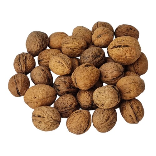 Noci guscio kg raccolto - guscio,