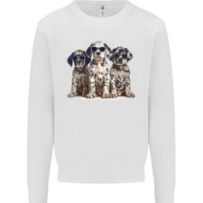 3 Cool Cuccioli Dalmata