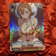 Sora Takenouchi DIGIMON BABE