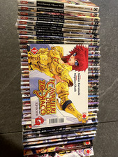 I Cavalieri Dello Zodiaco