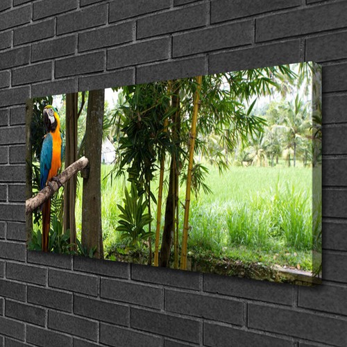 pappagallo quadro