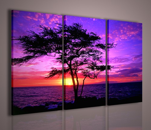 Quadri moderni kiawe tree - quadri,