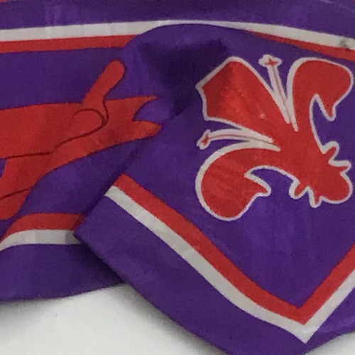 Rara sciarpa fiorentina - rara,
