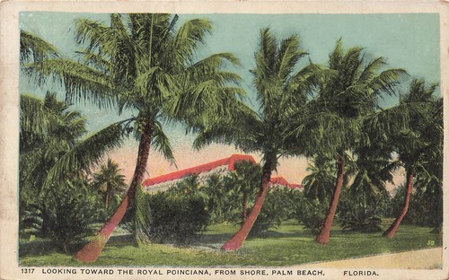 Palm beach florida - palm, florida~guardando