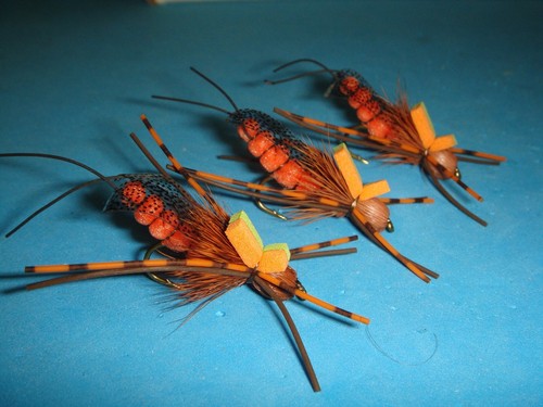 Mosche pesca mosca - mosca,