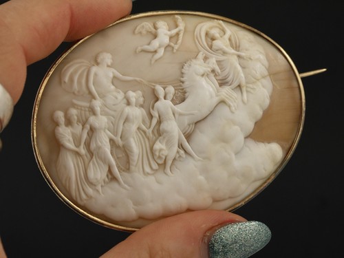 Antica spilla conchiglia