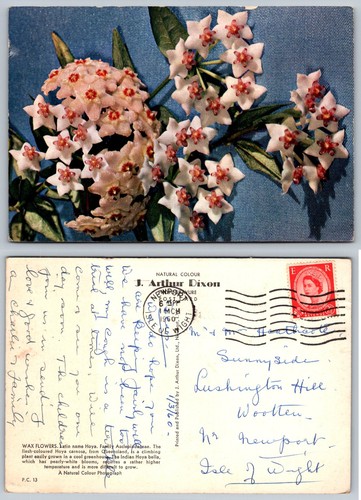 1960 arthur dixon fiori - arthur,