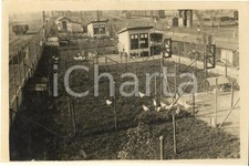 1930 MILANO Porta Romana - Inaugurazione di un pollaio sperimentale *Foto