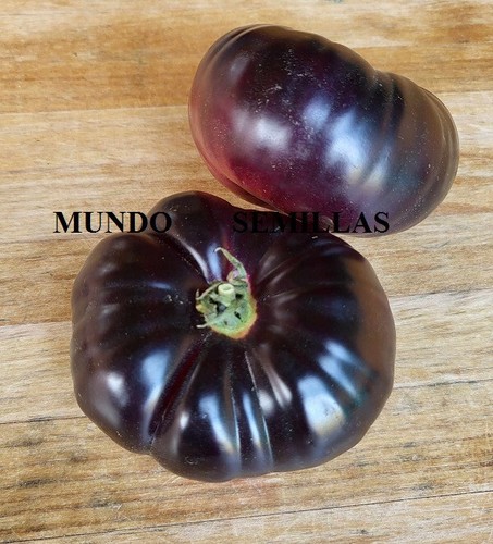 Pomodoro viola gigante - , (purple