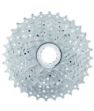 CAMPAGNOLO PACCO PIGNONI