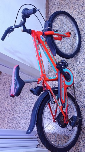 Bicicletta