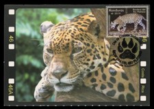 HONDURAS 2019 Maximum Card -