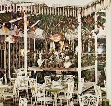 Cartolina anni 80 Kapor Tree