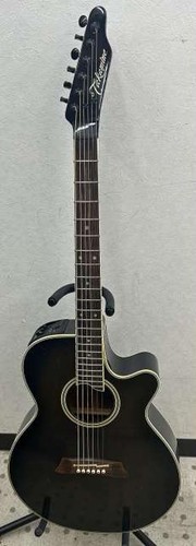 Takamine 108 consegna - takamine,
