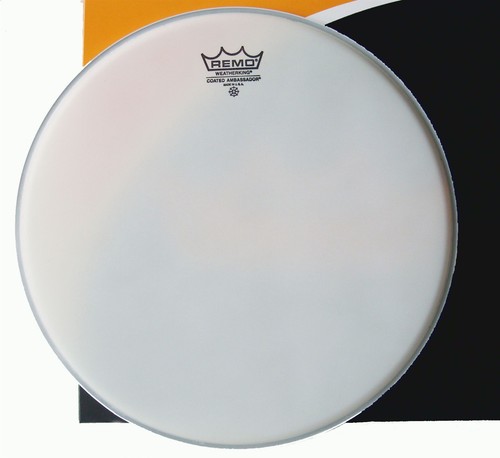 Pelle remo ambassador coated - pelle,
