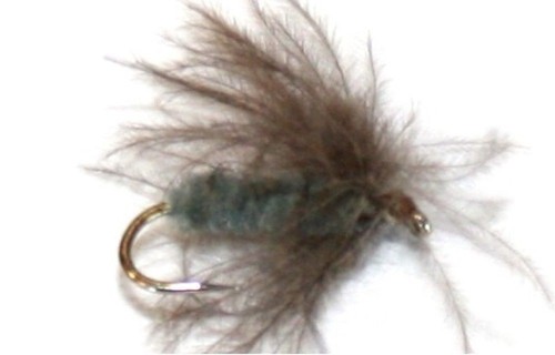 Mosca blu dun - dun, st