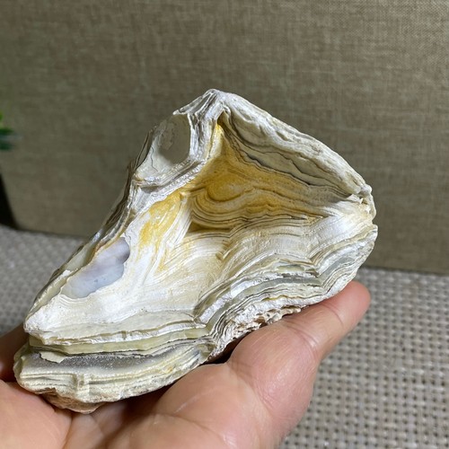 Bonsai suiseki 353g pietra - bonsai,