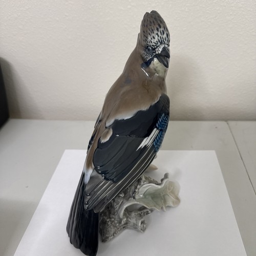 Incredibile jay bird - incredibile,