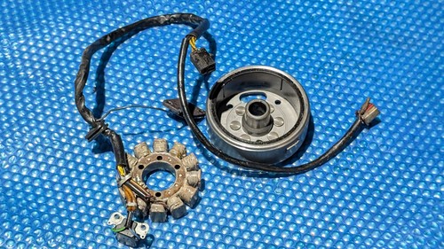 Statore alternatore volano - alternatore, e