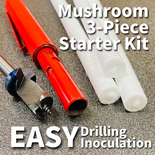 Starter kit tronco funghi - starter,