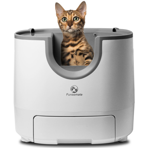 Lettiera per gatti autopulente