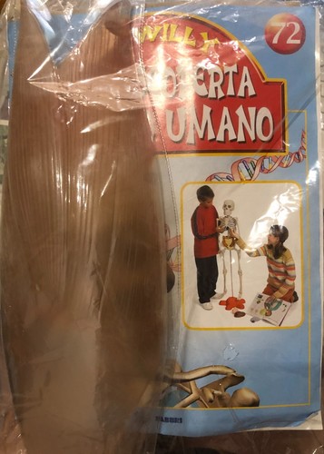 Alla scoperta del corpo - , umano