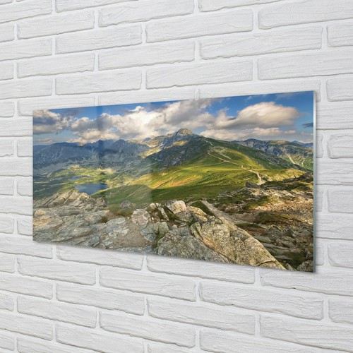 Tulup vetro acrilico - , 100x50