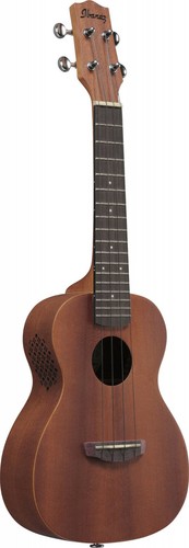 Ibanez ukc 100 - ibanez,