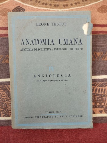 Leone testut anatomia - -, umana