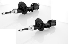 Coppia Ammortizzatori a Gas