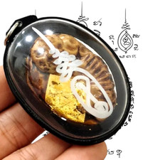 Talismani placenta gatto